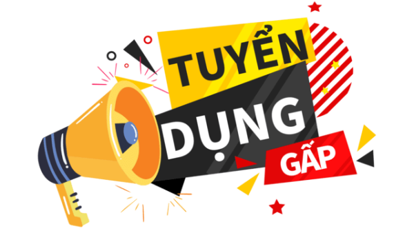 Tuyển nhân viên thời vụ thực hiện Chỉnh lý tài liệu lưu trữ năm 2024